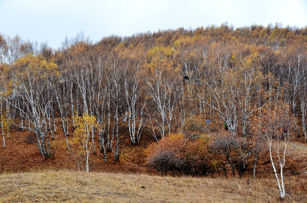 DSC_3429__.jpg