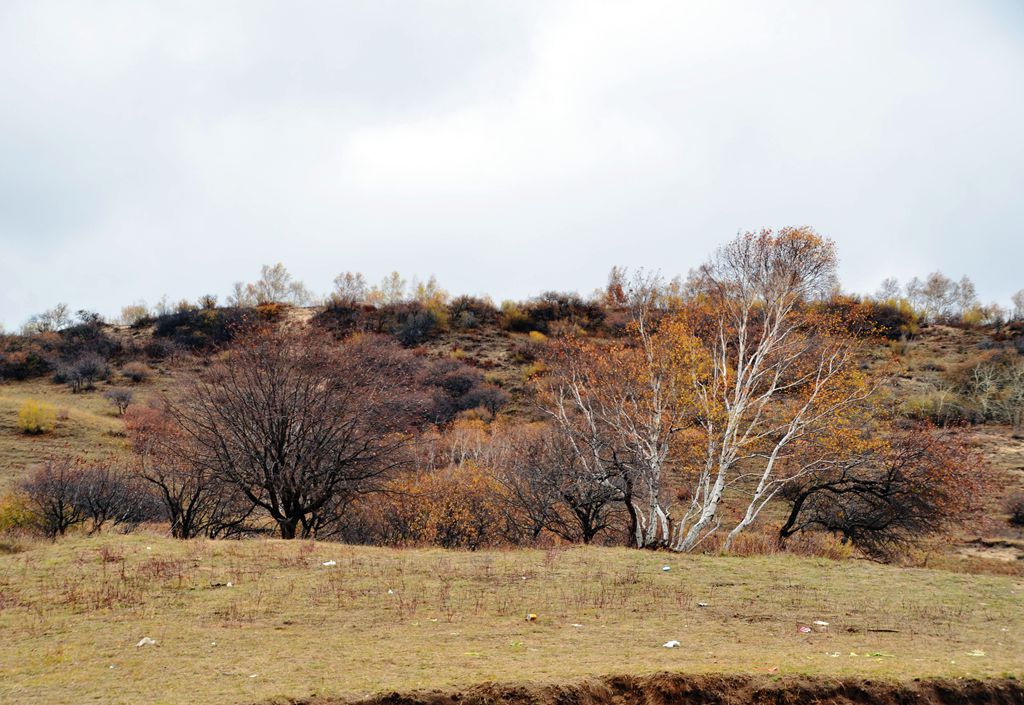 DSC_3477__.jpg