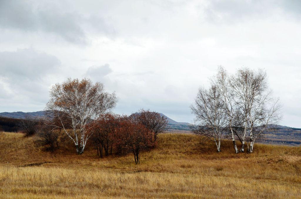 DSC_3483__.jpg