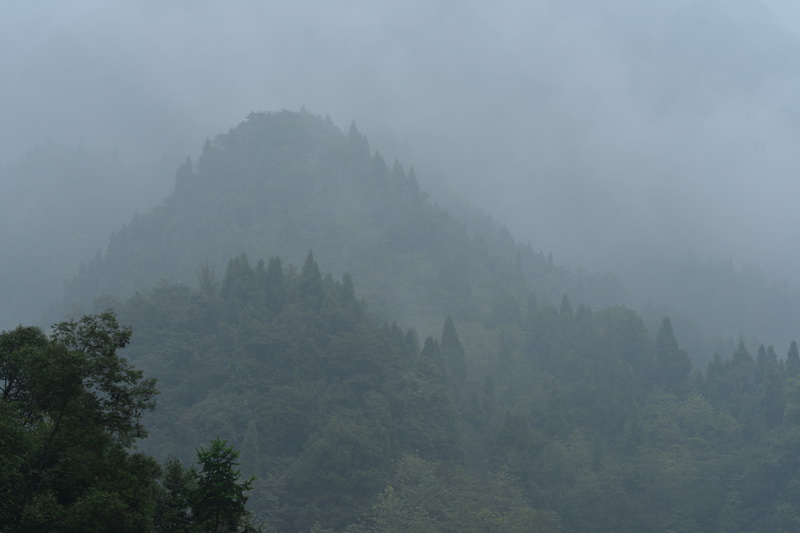 OCO_4542_С.JPG