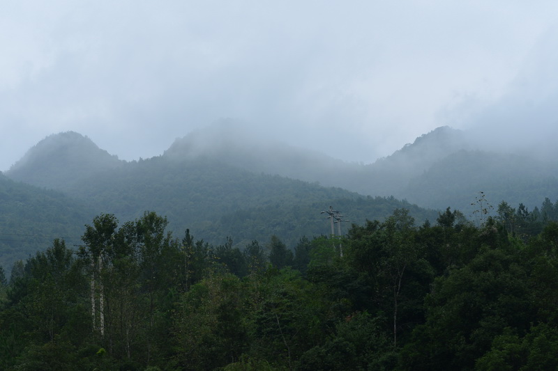 OCO_4577_С.JPG