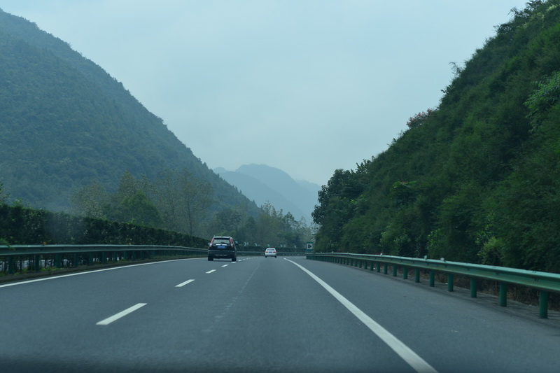 OCO_4580_С.JPG