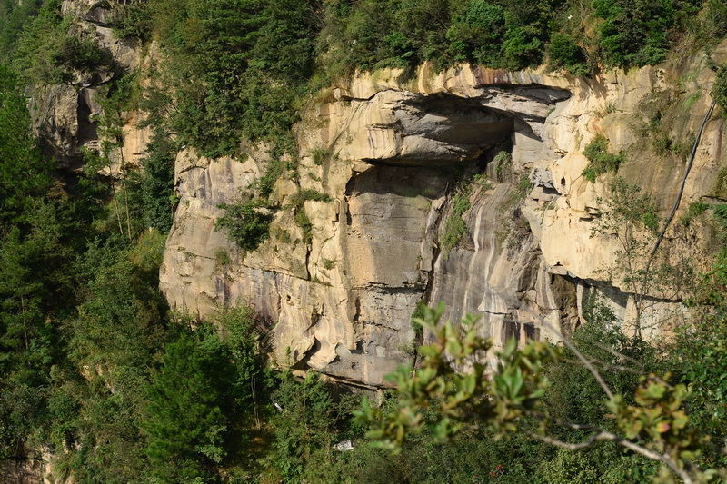 OCO_4622_С.JPG