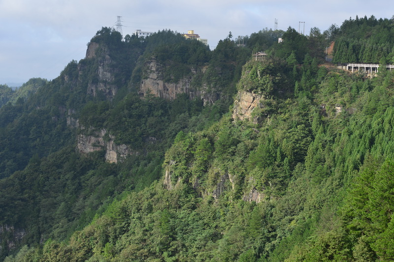 OCO_4620_С.JPG