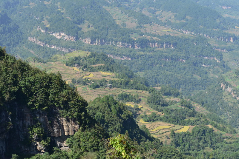 OCO_4691_С.JPG