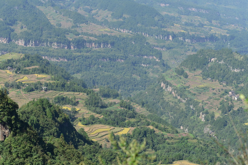 OCO_4692_С.JPG