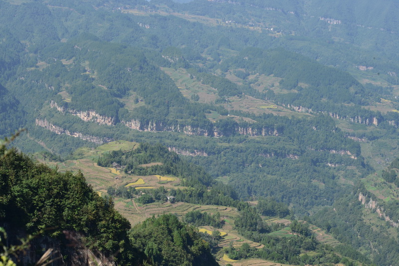 OCO_4705_С.JPG
