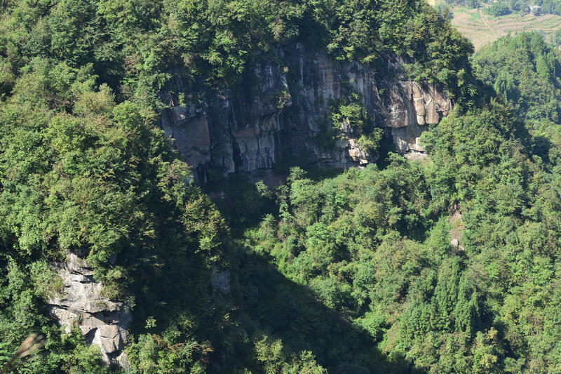 OCO_4702_С.JPG