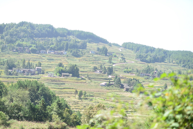 OCO_4721_С.JPG