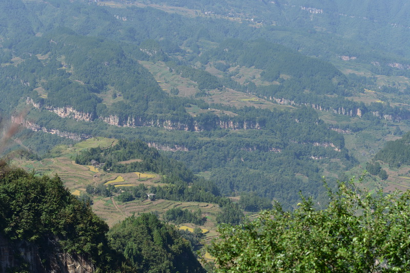 OCO_4714_С.JPG