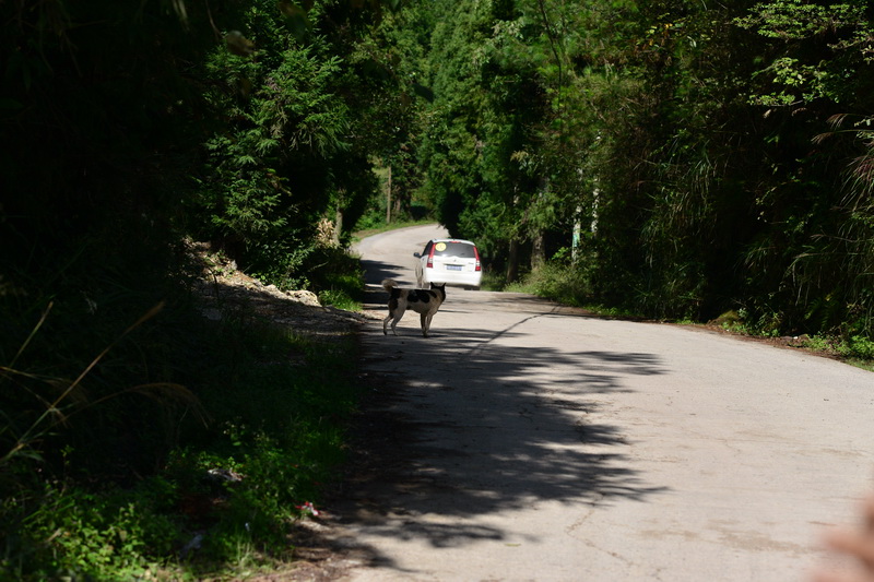 OCO_4722_С.JPG