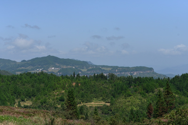 OCO_4725_С.JPG