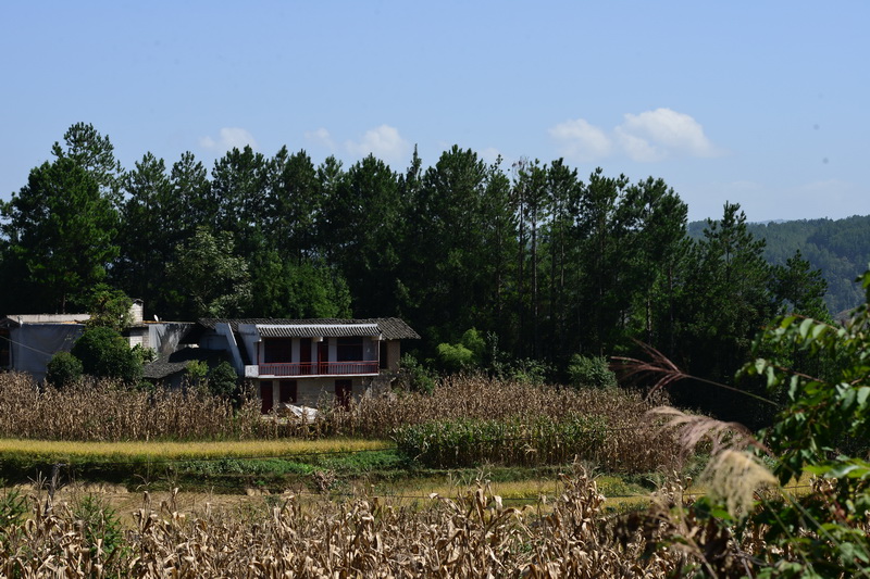 OCO_4764_С.jpg