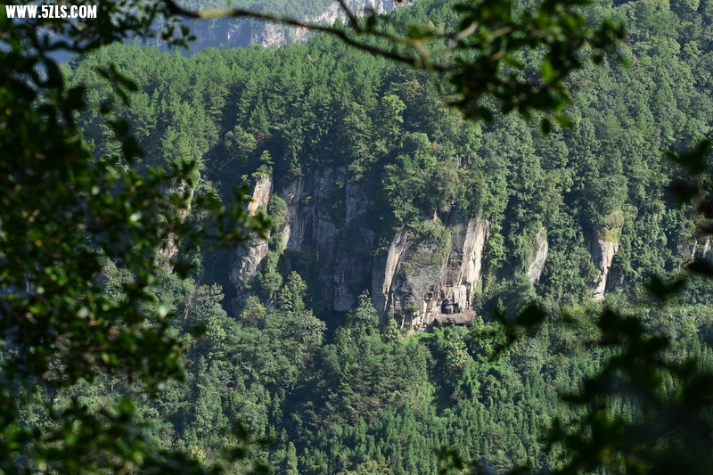 OCO_4876_С.jpg