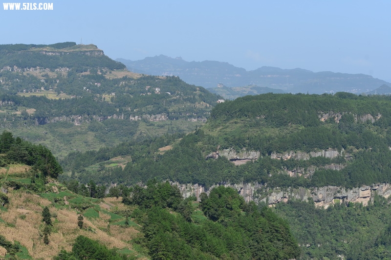 OCO_4905_С.jpg