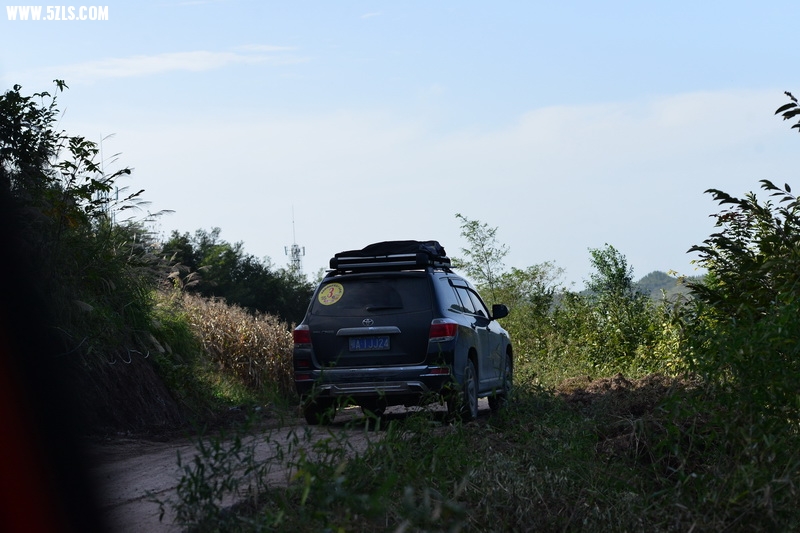 OCO_4943_С.jpg