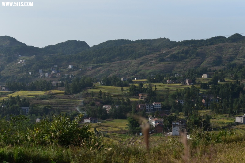 OCO_4950_С.jpg