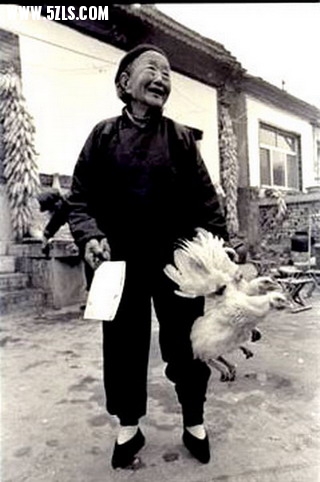 35.jpg