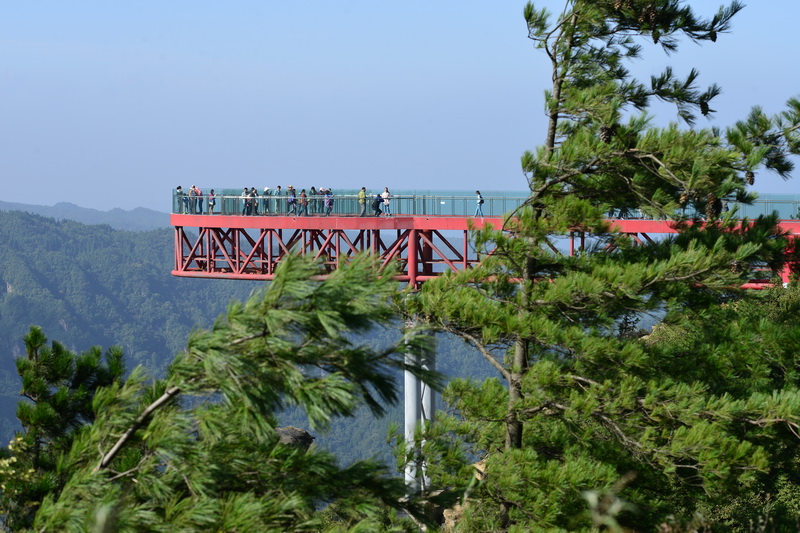 OCO_5061_С.jpg