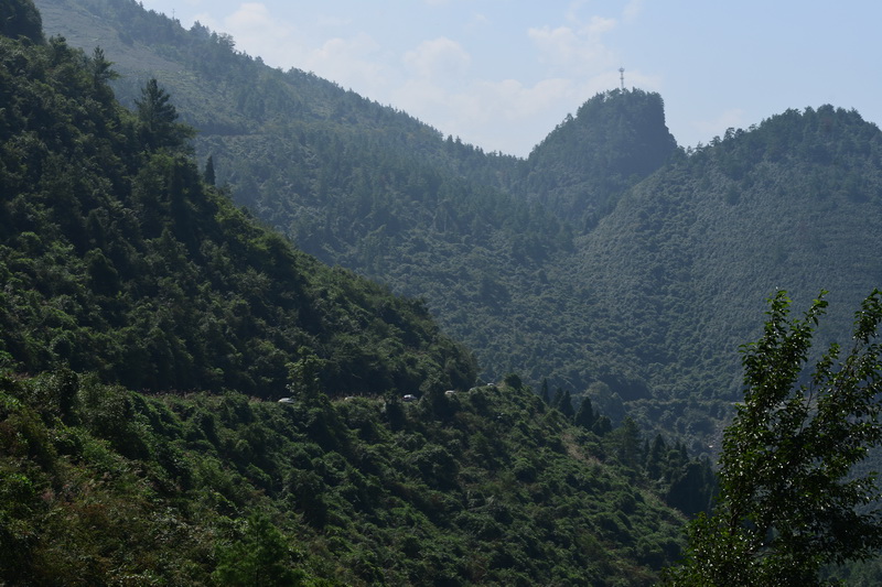 OCO_5215_С.jpg