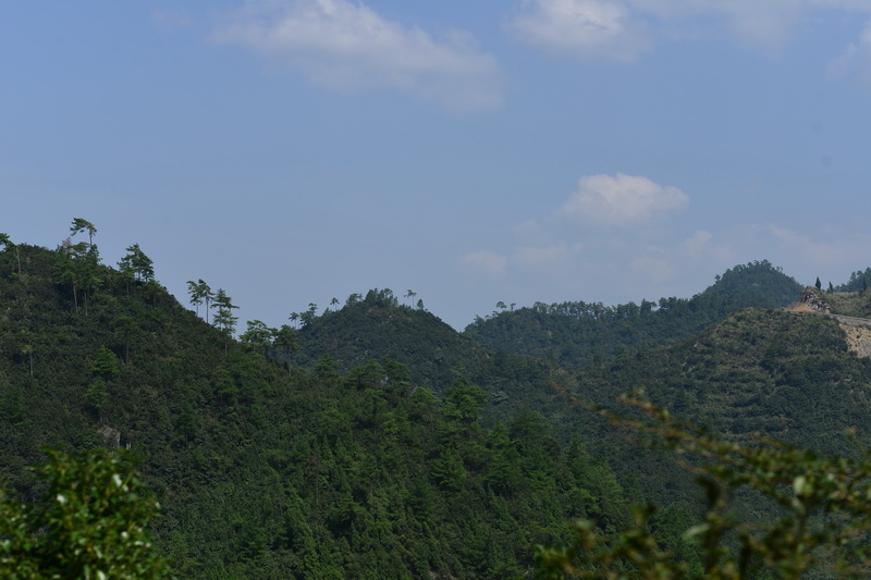OCO_5223_С.jpg