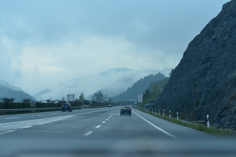 OCO_5417_С.jpg