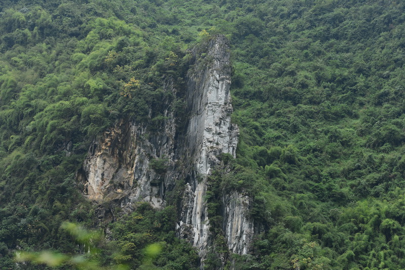 OCO_5486_С.jpg