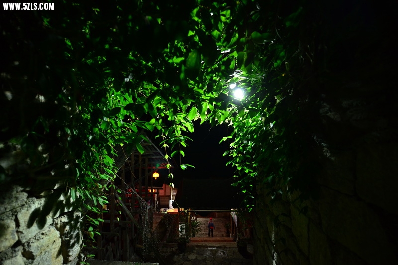 OCO_6332_调整大小.jpg