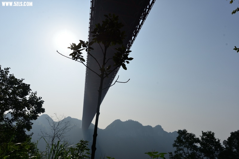 OCO_6586_调整大小.jpg
