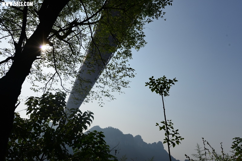 OCO_6602_调整大小.jpg