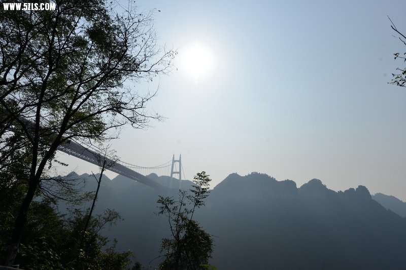 OCO_6594_调整大小.jpg