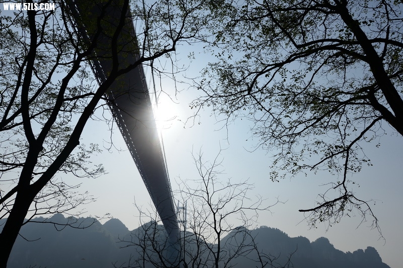 OCO_6600_调整大小.jpg