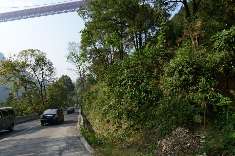 OCO_6618_调整大小.jpg
