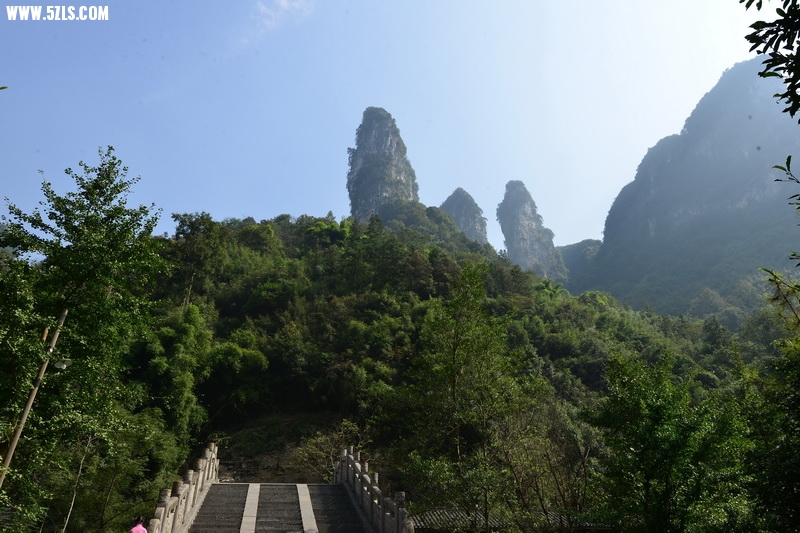 OCO_6647_调整大小.jpg