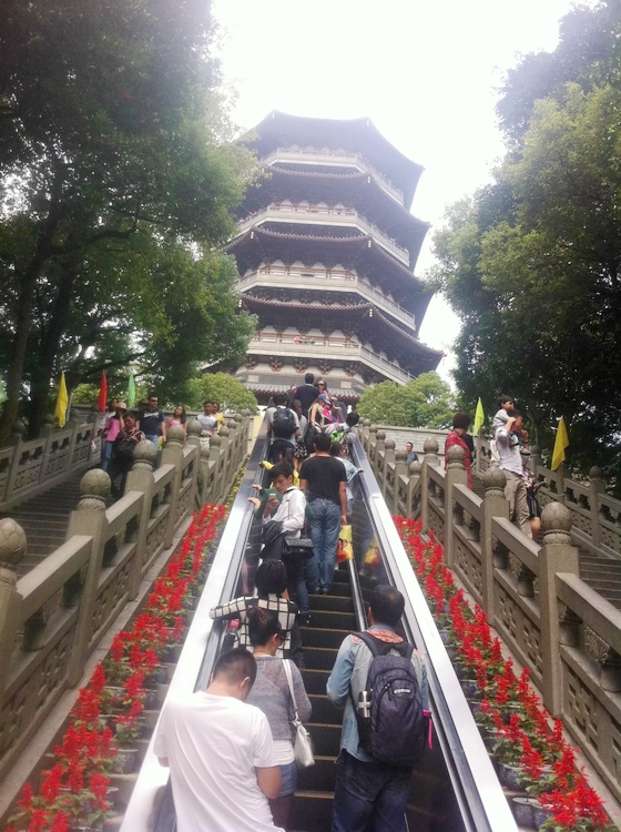 西湖。 (9).jpg