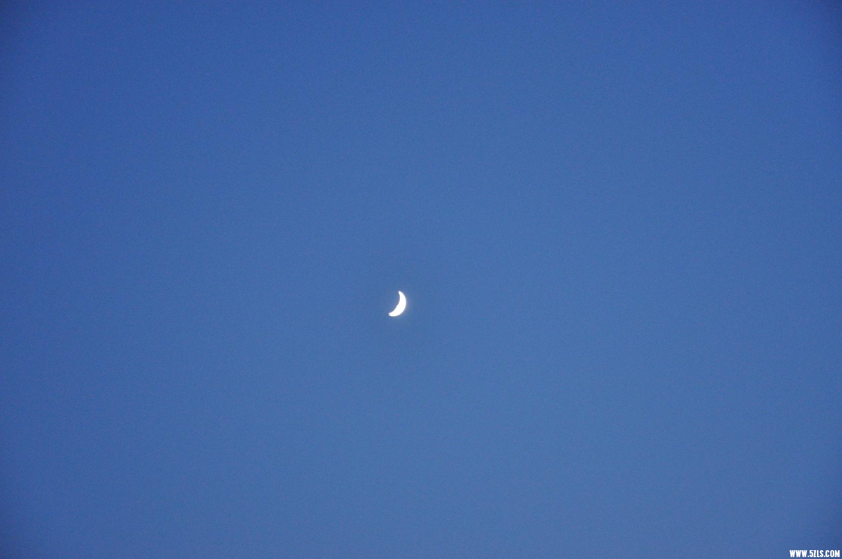 DSC_0409.JPG