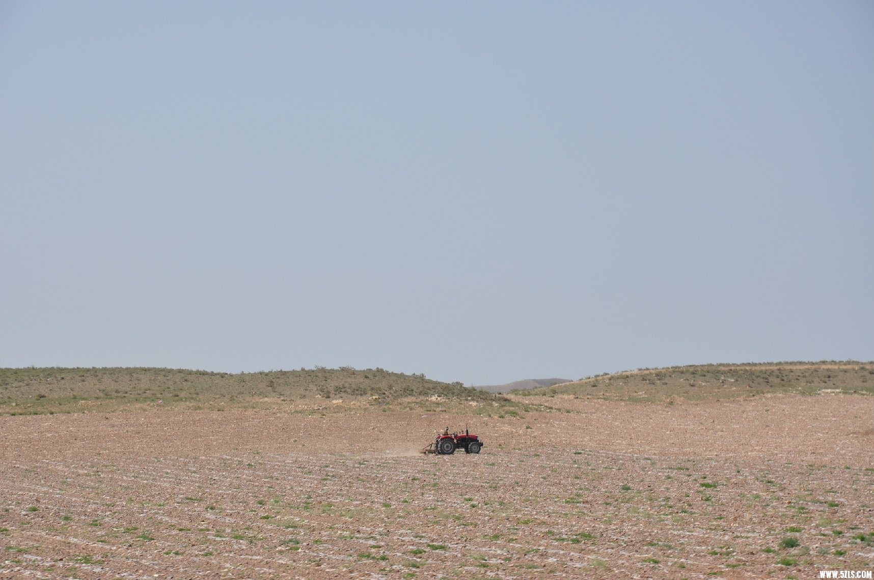 dsc_0701.jpg