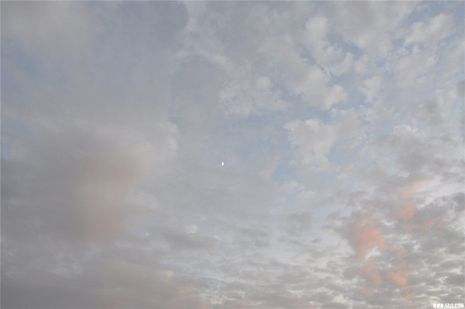 DSC_0333.JPG