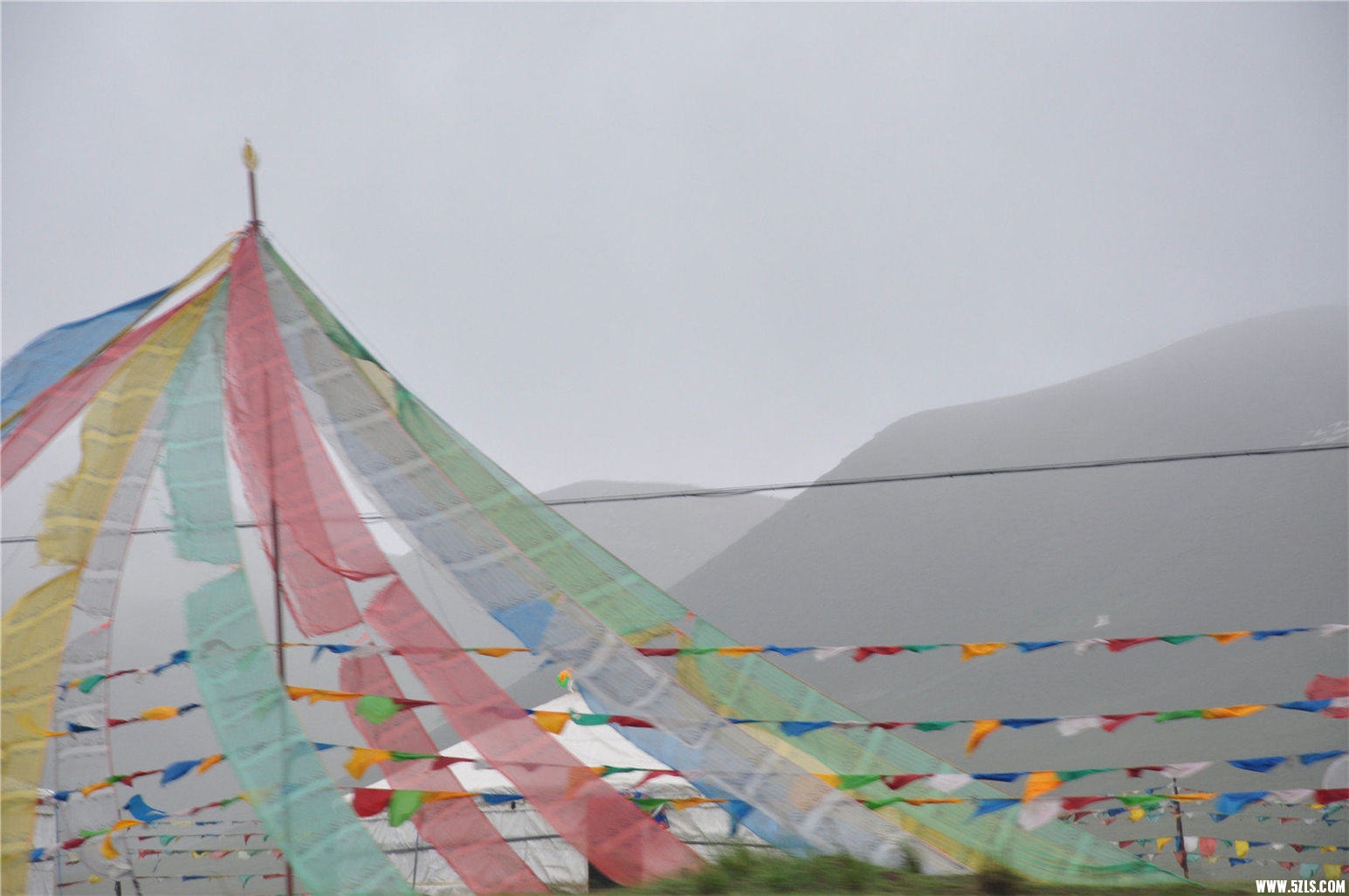 DSC_1087.JPG