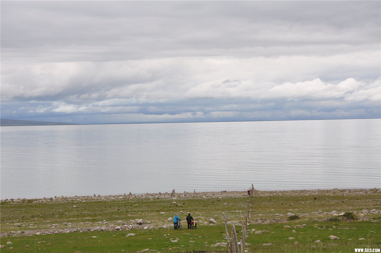 DSC_1306.JPG