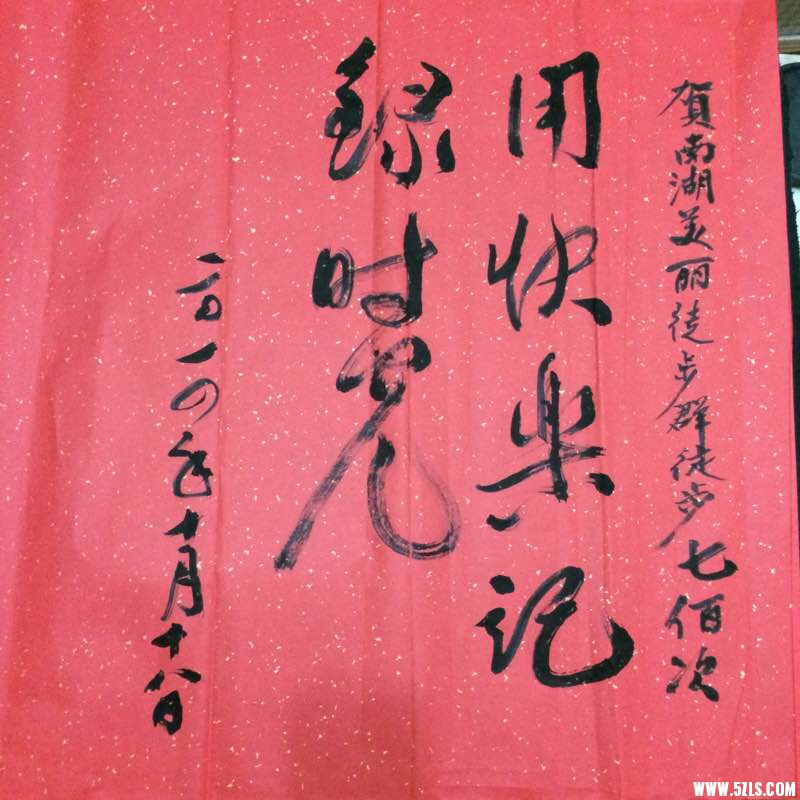 160045kvsvx9gx9zy8inr9.jpg