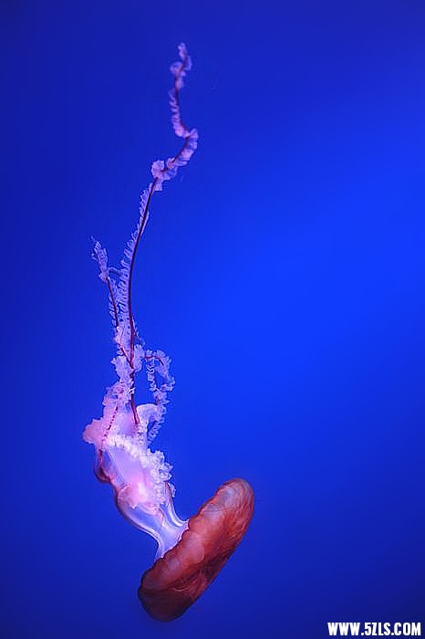 1SC_0419__.jpg