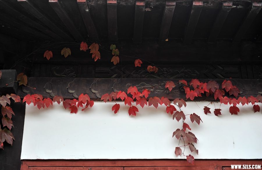 1SC_0961_.jpg