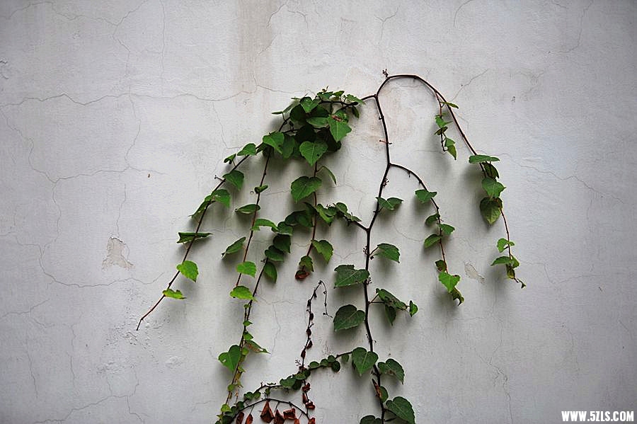 1SC_0948__.jpg