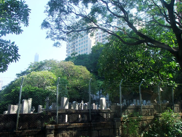DSCF2122.JPG