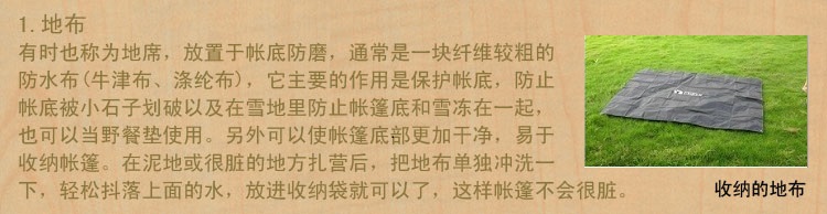 111.jpg