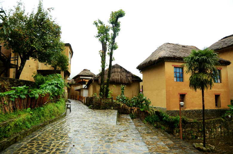 DSC_5195.JPG