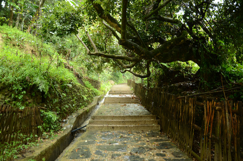 DSC_5201.JPG