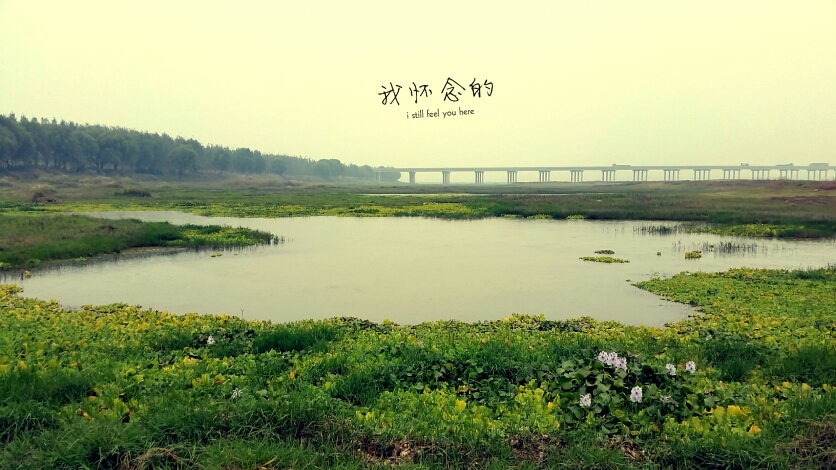 114713i50nvk0j9k5mvm4n.jpg