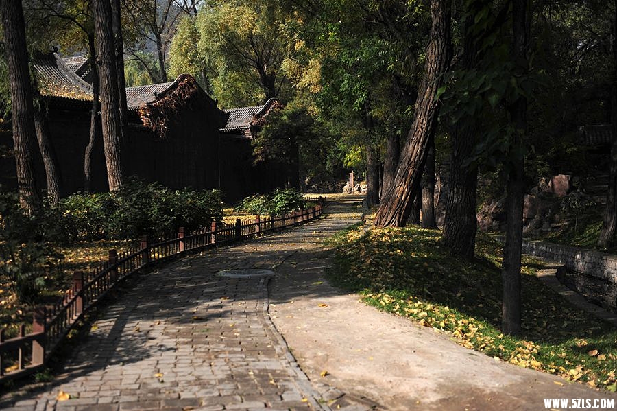 1SC_1672__.jpg